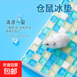 宠物仓鼠冰垫 夏天降温板散热用品凉席垫避暑神器冰窝 仓鼠冰垫-蓝色-大号-1个装