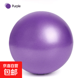 普拉提瑜伽球麦管球25cm平衡健身球体操球儿童孕妇pvc瑜伽小球 紫色 1个 25cm