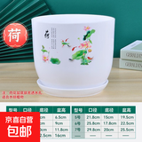 桌面花盆仿陶瓷梅兰竹菊带托盘简约创意个性家用阳台绿萝吊兰多肉 【荷盆】不带孔 2号口径10cm*1个