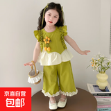 女童夏季套装2025新款洋气3-6儿童衣服短袖花朵小女孩两件套1-3岁 绿色 薄款 100 cm