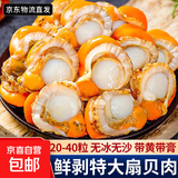 【新货上市】特大号扇贝肉纯野生海捕新鲜扇贝冷冻海鲜带冰保鲜 扇贝肉400g*7