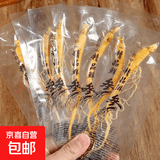 人参长白山参小人参滋补新鲜保鲜正宗正品真空泡酒独立煲汤包装袋 保鲜参10根（毛重4-5g净重2g）
