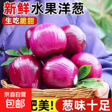 新生紫皮洋葱生吃脆甜应季新下鲜红洋葱蔬菜超市新款 洋葱净重1500g 3斤 单果≥150g