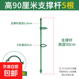 植物爬藤架西红柿黄瓜蝴蝶兰固定杆园艺花架花支撑架防倒伏支撑杆 【蝴蝶兰专用】高90cm【5根】