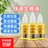 植物通用快速生根液粉剂扦插生根水强力营养液多肉生根剂土壤种植 20ml 2瓶