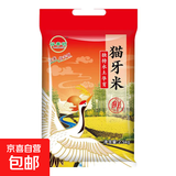 当季产地正宗优质猫牙米煲仔饭炒饭专用米新籼 长粒香软大米 猫牙长粒香5斤--1袋