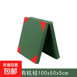 仰卧起坐中考专用垫子中小学生学校体育训练加厚珍珠棉防摔体操垫 100*50*5cm