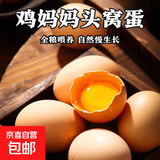 【山东大码蛋50g±5g】正宗草鸡蛋谷物鲜鸡蛋柴鸡蛋五谷杂粮喂养 40枚
