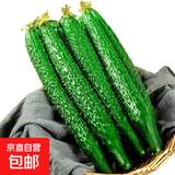 山东密刺小条黄瓜新鲜蔬菜新鲜采摘生吃生鲜 山东刺黄瓜 3斤 净重
