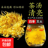 【热销100万包】金丝皇菊特级袋装无添加正宗一朵一大杯独立包装 50袋 金丝皇菊【泡开约7-10cm】精选特大朵