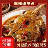 光州麻辣甲鱼熟食即食整只卤味甲鱼团鱼网红麻辣鲜活食用卤王八 150-200g麻辣 1只