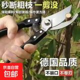 【月销过万】不锈钢修枝剪钢剪树剪子枝条剪花枝剪刀家用园林专用 精工精品-1倍耐用+黑鳞款