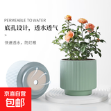 陶瓷花盆绿植盆栽亚光北欧风简约花盆大号桌面绿植盆送塑料托盘 绿色 特大号（20*20*16）