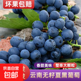 云南夏黑葡萄无籽黑提子黑加仑巨峰孕妇当应季新鲜水果现摘当季 云南建水夏黑葡萄4斤
