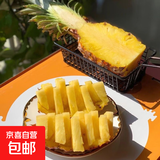 海南金钻凤梨香甜无渣多汁手撕大凤梨非菠萝产地直发 【精品大果】4个装 单果1.8斤起