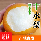 山东莱阳丰水梨 头茬脆甜梨子当季新鲜水果整箱 【99%选择】净重4.5斤单果350g+