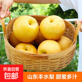 丰水梨山东聊城冠县丰水梨子时令水果 6枚礼盒净重4.5斤大果单果290g