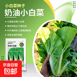 大白菜种子空心菜生菜奶油小白菜红心胡萝卜西葫芦农科院蔬菜籽孑 奶油小白菜京农研 2克