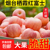 山东烟台红富士苹果正宗栖霞苹果冰糖心水果新鲜当季苹果 带箱8斤中果