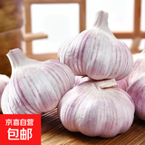 【营田半亩】蒜干蒜头蒜大蒜紫白皮大蒜当季蔬菜0.5-5斤 3斤带箱重【果径4.5-5cm】大果