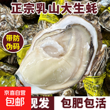 爆款 乳山生蚝鲜活海蛎子特大海鲜牡蛎5斤整箱生鲜 4斤3XL号【10-16个】