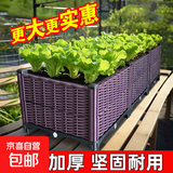 40款楼顶阳台种菜箱蔬菜种植专用箱种花箱户外菜园庭院种菜盆神器 架高加宽果实箱长200宽60高49cm 40cm×30cm加大加厚款