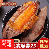 现挖烟薯糖心红薯新鲜空气炸锅烤地瓜农家沙地红心蜜薯 正宗烟薯25号 9斤 带箱 中小果（单果50g-150g）