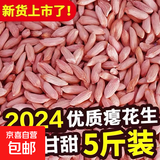 养胃瘪花生新货零食小瘪花生米小粒生小秕子花生干瘪小花生仁生吃 瘪花生米600克