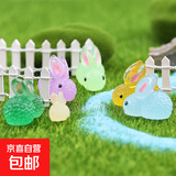 摆件微景观可爱动物卡通发光彩色小兔子夜光萌兔园艺植物树脂配件 随机色5个装