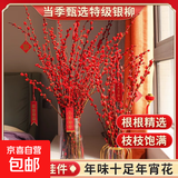 【银柳送挂饰】年宵花⭐真花鲜枝红色客厅室内干花盆栽摆件水培 【30枝】招财银柳-送新春挂件 60cm
