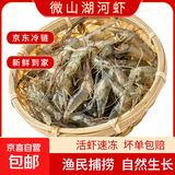 微山湖淡水河虾小河虾鲜活急冻青虾草虾醉虾五节腿 小号河虾 250g(净重)  2-3cm 1盒