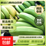 精品云南香蕉高山香蕉现摘新鲜水果甜生青香蕉banana自然熟绿皮 精品高山蕉 2斤