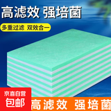 宠物鱼缸过滤棉 专用过滤器白棉高密度加厚净化海绵水族箱工具 鱼缸净水棉-绿色100*12cm*1米1片装