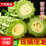 新鲜现摘绿色苦瓜当季凉瓜清脆爽口清热降火新鲜蔬菜生鲜 山东新鲜苦瓜 2斤 带箱