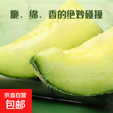 果香浓郁正宗新鲜海南网纹蜜瓜当季新鲜水果坏果包赔 中小果（单果≥600g）3斤净重1200g