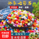 鱼缸水族天然鹅卵石彩色石子 底部造景砂石底砂盆栽铺面石头 五彩石【100g】1袋