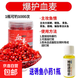 钓鱼小麦粒血麦饵料香野钓鲫鱼鲤鱼通杀红虫颗粒钓饵溪流草鱼主攻 麝香血麦3瓶【赠血麦诱导素1瓶】