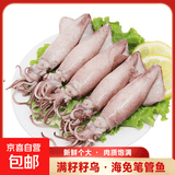 速冻真籽海兔 鲜活急冻全籽籽乌笔管鱼250g/包每包10粒 250g*4包