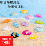 鱼缸造景微景观创意仿真彩色海螺贝壳 海洋沙滩diy装饰摆件玩具 彩色海螺贝壳5个