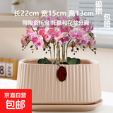盆生花道长方形陶瓷花盆ins风简约高颜值室内绿植盆栽奶油风家用 长竖纹带托盘哑茶色(配陶瓷托盘) 无规格