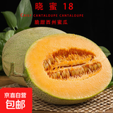 晓蜜18号新鲜爆甜哈密瓜现摘高质量哈密瓜产地包邮 净重：9斤