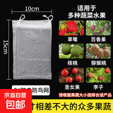 水果套袋果实网袋番茄葡萄无花果草莓枇杷防鸟防虫保护袋透气网套 2号-10cm*15cm【50个】