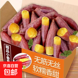 现挖小香薯新鲜番薯板栗红薯地瓜软糯金手指拇指蔬菜包邮净重 3斤【尝鲜装】源头直采包邮