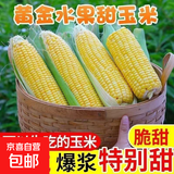 新鲜甜玉米水果玉米甜脆金银玉米棒可生吃爆浆蔬菜营养早餐代餐 新鲜黄金水果玉米2斤
