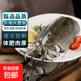 大墨鱼 鱼 鲜活冷冻舟山海捕东海特大目鱼乌贼海鲜水产非墨鱼仔 墨鱼 4斤(净重)