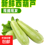 新鲜西葫芦角瓜新鲜蔬菜三月瓜 新鲜西葫芦 3斤 畅销装