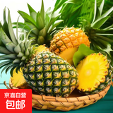 广东香水菠萝新鲜水果菠萝凤梨整箱包邮单果500g起 【囤货】带箱4斤净重3.7-3.9斤（约2-3粒）