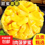 海南黄肉菠萝蜜 整个新鲜水果三亚干苞木波罗蜜汇晨 净重15-20斤