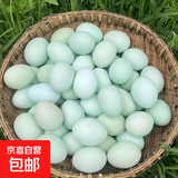 38g-40g农家林下散养鸡蛋虫草生鲜绿壳土鸡蛋孕妇健康蛋超市新鲜 孕妇健康初生土鸡蛋30枚/箱