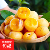 云南石林特产风化人参果无酸自然熟孕妇儿童水果现摘现发-蓝瑞 石林人参果中果5斤装